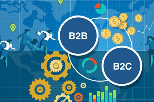 B2B & B2C Portal Solutions in mumbai