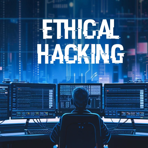 Ethical Hacking Services