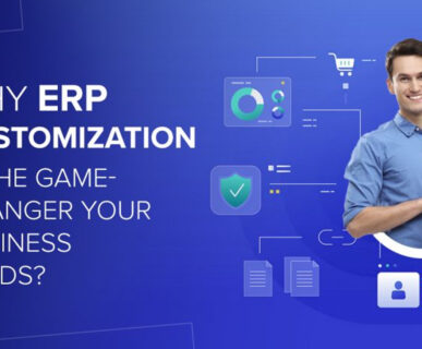 Custom ERP software for businesses in India