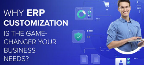 Custom ERP software for businesses in India